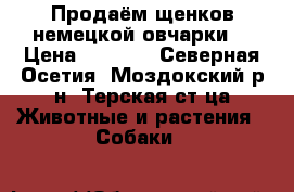 Продаём щенков немецкой овчарки. › Цена ­ 5 000 - Северная Осетия, Моздокский р-н, Терская ст-ца Животные и растения » Собаки   